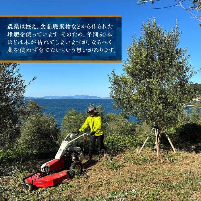 【ふるさと納税】【贈答】エキストラバージンオリーブオイル 120g 長与町/喜虎園オリーブ園 [ECJ001] 国産 オリーブオイル オリーブ油 エキストラバージン 贈答 ギフト 料理 サラダ - 画像3