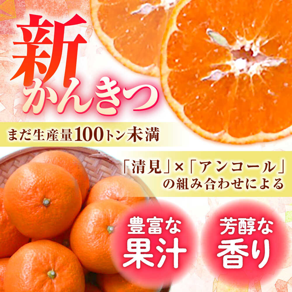 【ふるさと納税】【ご家庭用】 津之望約3kg（つののぞみ） 長与町/果豊園[ECL008] サムネイル2