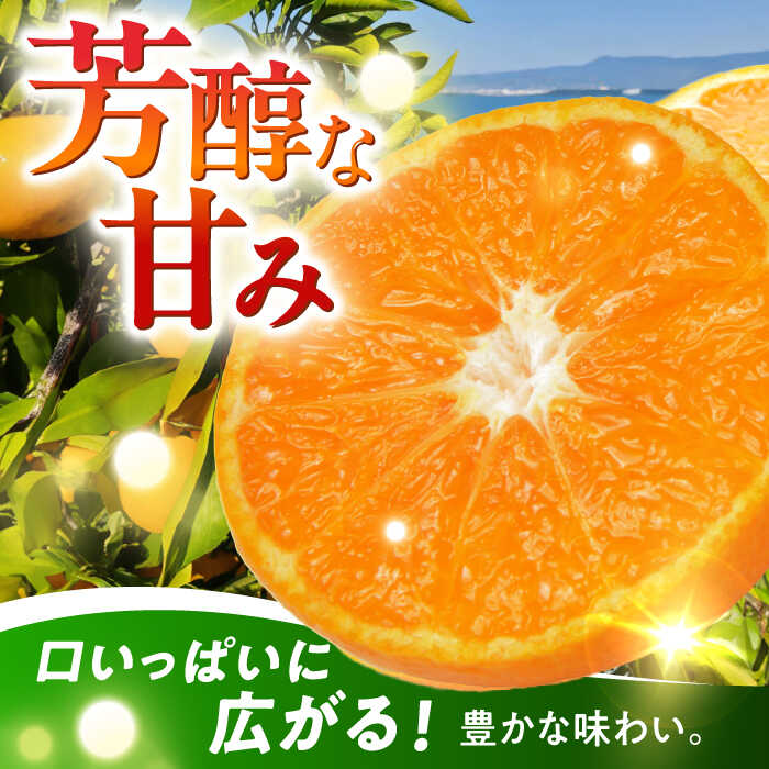 【ふるさと納税】【自然の力を活かした栽培】温州みかん（普通） 5kg -2025年12月下旬より発送- 長与町/農事組合法人希望種（きぼうのたね）[ECQ005] 先行予約 温州 みかん ミカン 蜜柑 柑橘 除草剤不使用 長崎県 長与町 フルーツ 果物 旬 お取り寄せ こだわり 甘い サムネイル2
