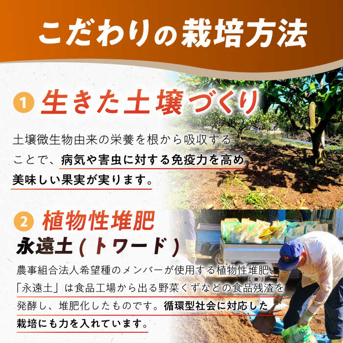 【ふるさと納税】【自然の力を活かした栽培】温州みかん（普通） 5kg -2025年12月下旬より発送- 長与町/農事組合法人希望種（きぼうのたね）[ECQ005] 先行予約 温州 みかん ミカン 蜜柑 柑橘 除草剤不使用 長崎県 長与町 フルーツ 果物 旬 お取り寄せ こだわり 甘い サムネイル3