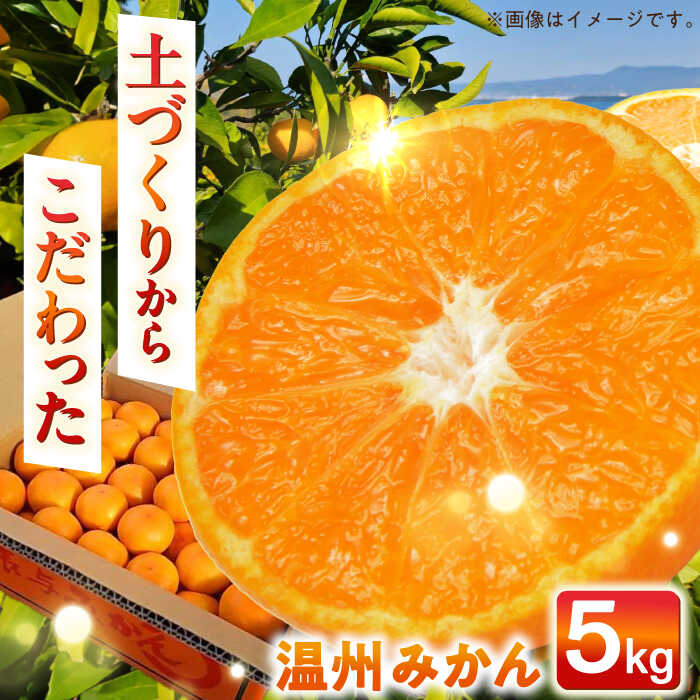 【自然の力を活かした栽培】温州みかん（普通） 5kg -2025年12月下旬より発送- 長与町/農事組合法人希望種（きぼうのたね）[ECQ005] 先行予約 温州 みかん ミカン 蜜柑 柑橘 除草剤不使用 長崎県 長与町 フルーツ 果物 旬 お取り寄せ こだわり 甘い