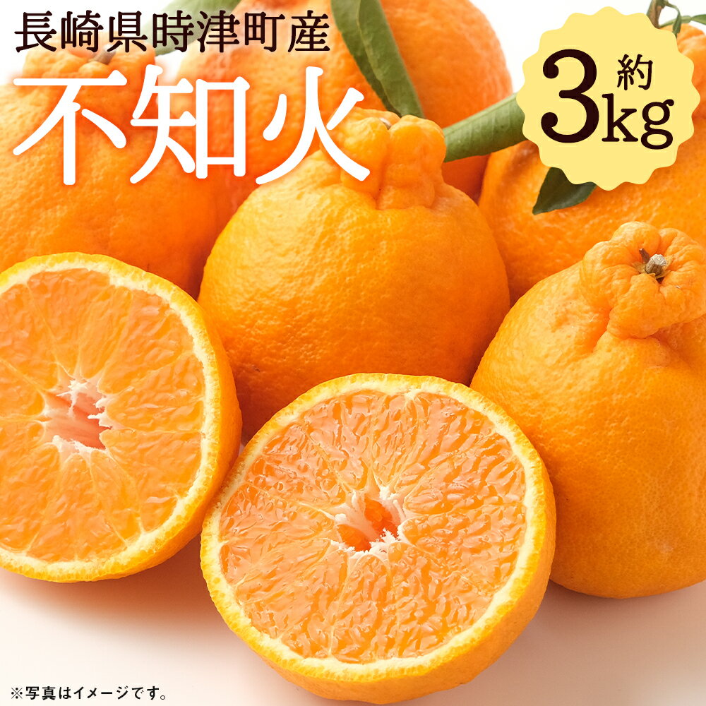 【数量限定】長崎県時津町産 不知火 約3kg デコポンと同一品種 蜜柑 みかん 柑橘 果物 フルーツ 長崎県産 九州産 送料無料【2026年3月下旬-4月下旬迄発送予定】