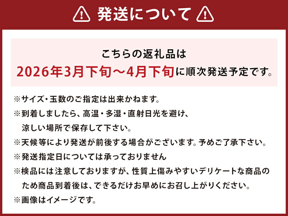 【ふるさと納税】【数量限定】長崎県時津町産 不知火 約3kg デコポンと同一品種 蜜柑 みかん 柑橘 果物 フルーツ 長崎県産 九州産 送料無料【2026年3月下旬-4月下旬迄発送予定】 サムネイル3