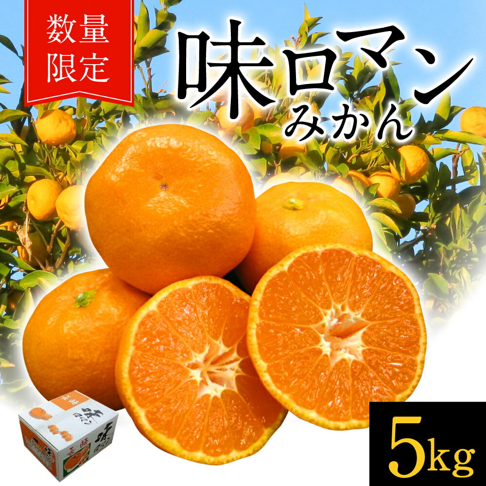 【ふるさと納税】味ロマン みかん 約5kg 糖度12度 （SまたはMサイズ） 【 長崎西彼農業協同組合 】 温州みかん ミカン 蜜柑 オレンジ くだもの 果物 フルーツ 柑橘 長崎県産 九州産 国産 送料無料 【2025年12月上旬~2026年1月上旬迄発送予定】 サムネイル2