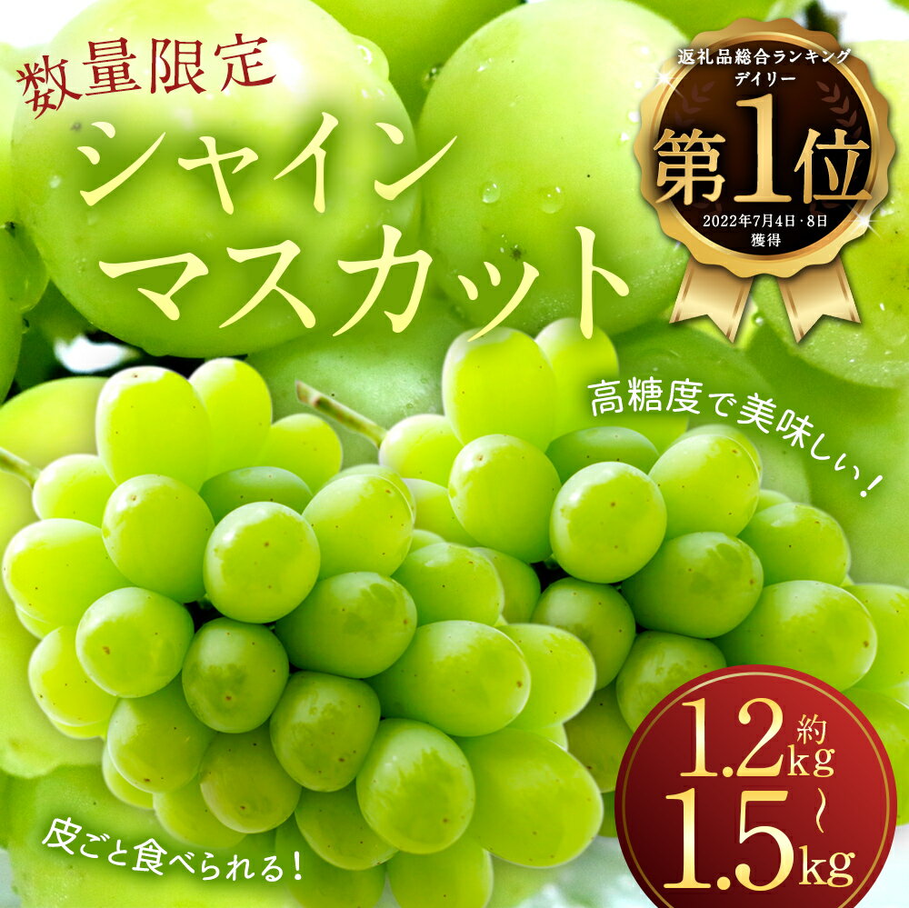 【ふるさと納税】＜選べる内容量＞ 長崎県産 シャインマスカット 約1.2kg / 約1.5kg 数量限定 時津町産 葡萄 ぶどう フルーツ 果物 くだもの 旬 皮ごと 高糖度 種なし 人気 先行予約 予約 九州産 冷蔵 送料無料【2026年8月下旬～9月下旬迄順次発送予定】 - 画像2