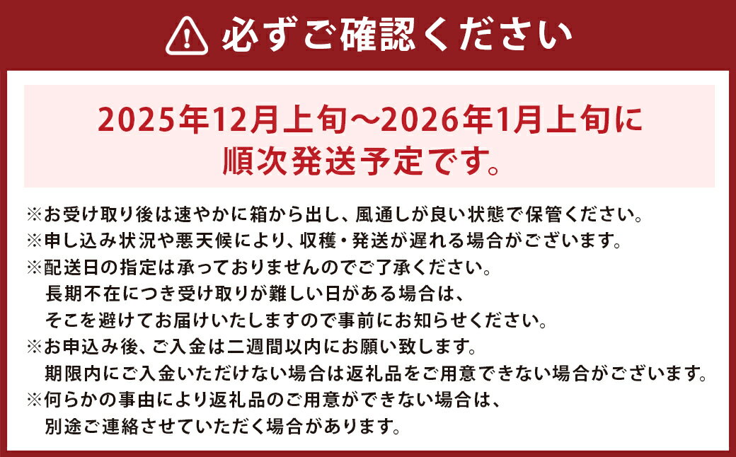 【ふるさと納税】味ロマン みかん 約5kg 糖度12度 （SまたはMサイズ） 【 長崎西彼農業協同組合 】 温州みかん ミカン 蜜柑 オレンジ くだもの 果物 フルーツ 柑橘 長崎県産 九州産 国産 送料無料 【2025年12月上旬~2026年1月上旬迄発送予定】 サムネイル3