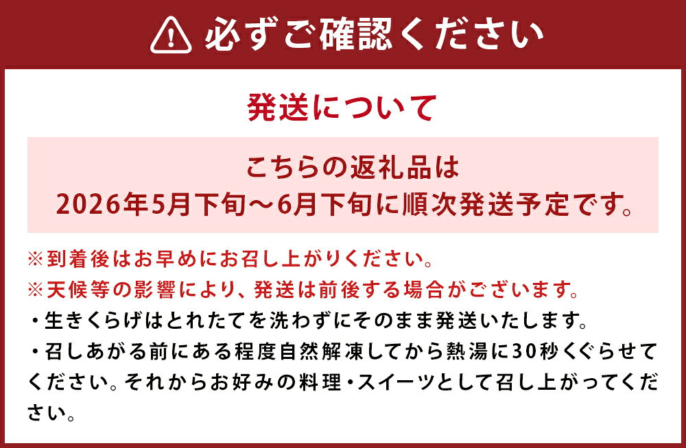 【ふるさと納税】生きくらげ 1kg ご家庭用 中華 和食 スイーツ 食べる漢方 冷蔵 純国内産 送料無料【2026年5月下旬～6月下旬迄発送予定】 - 画像3