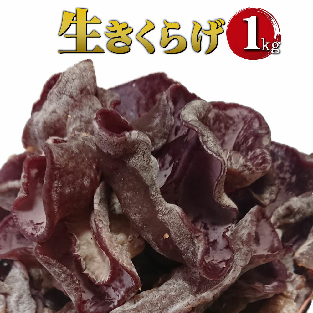 生きくらげ 1kg ご家庭用 中華 和食 スイーツ 食べる漢方 冷蔵 純国内産 送料無料【2026年5月下旬～6月下旬迄発送予定】