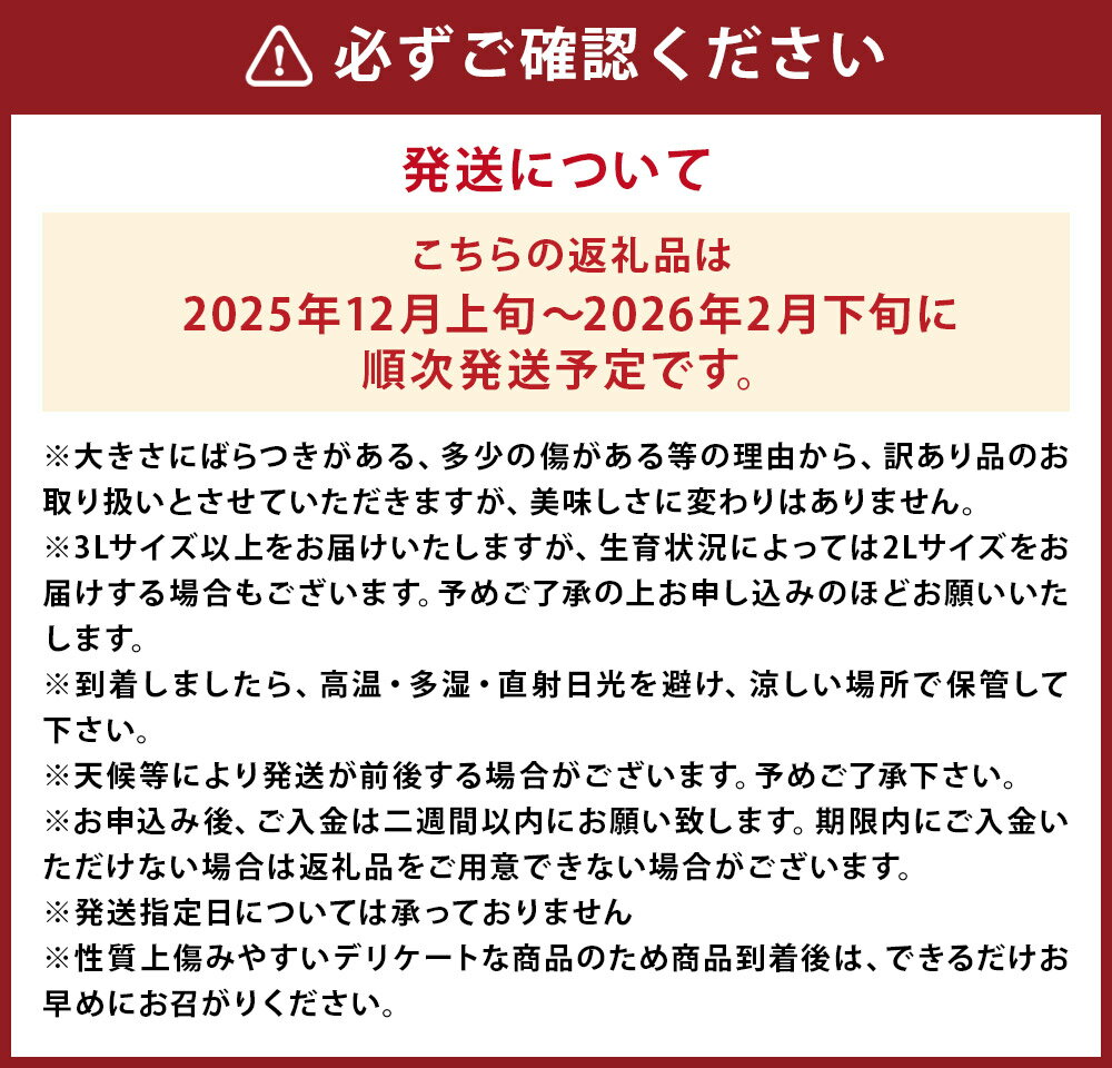 【ふるさと納税】【訳あり】 太陽と潮風を浴びて育った 長崎県時津町産 温州みかん 約10kg 3Lサイズ以上 10000円 1万円 ご家庭用 柑橘 蜜柑 九州産 長崎県産 果物 フルーツ 送料無料【2025年12月上旬～2026年2月下旬に順次発送予定】 サムネイル3