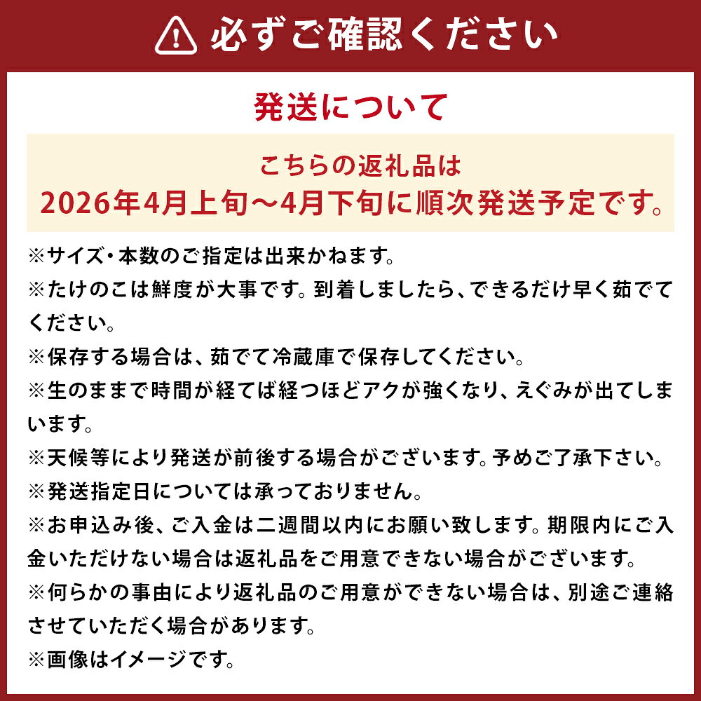 【ふるさと納税】たけのこ 約3kg ぬか・とうがらし付 採れたて 産地直送 筍 野菜 時津町産 長崎県産 九州産 送料無料【2026年4月上旬発送開始】 - 画像3