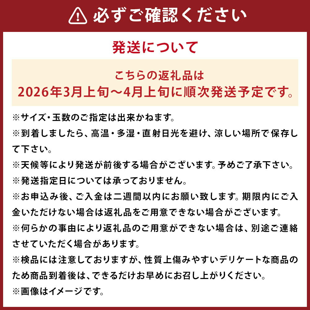 【ふるさと納税】数量限定 少量オススメ！ 木なり 完熟 不知火 約2.5kg フルーツ 蜜柑 柑橘 国産 長崎県産 九州産 デコポンと同一品種 送料無料【2026年3月上旬発送開始】 サムネイル3