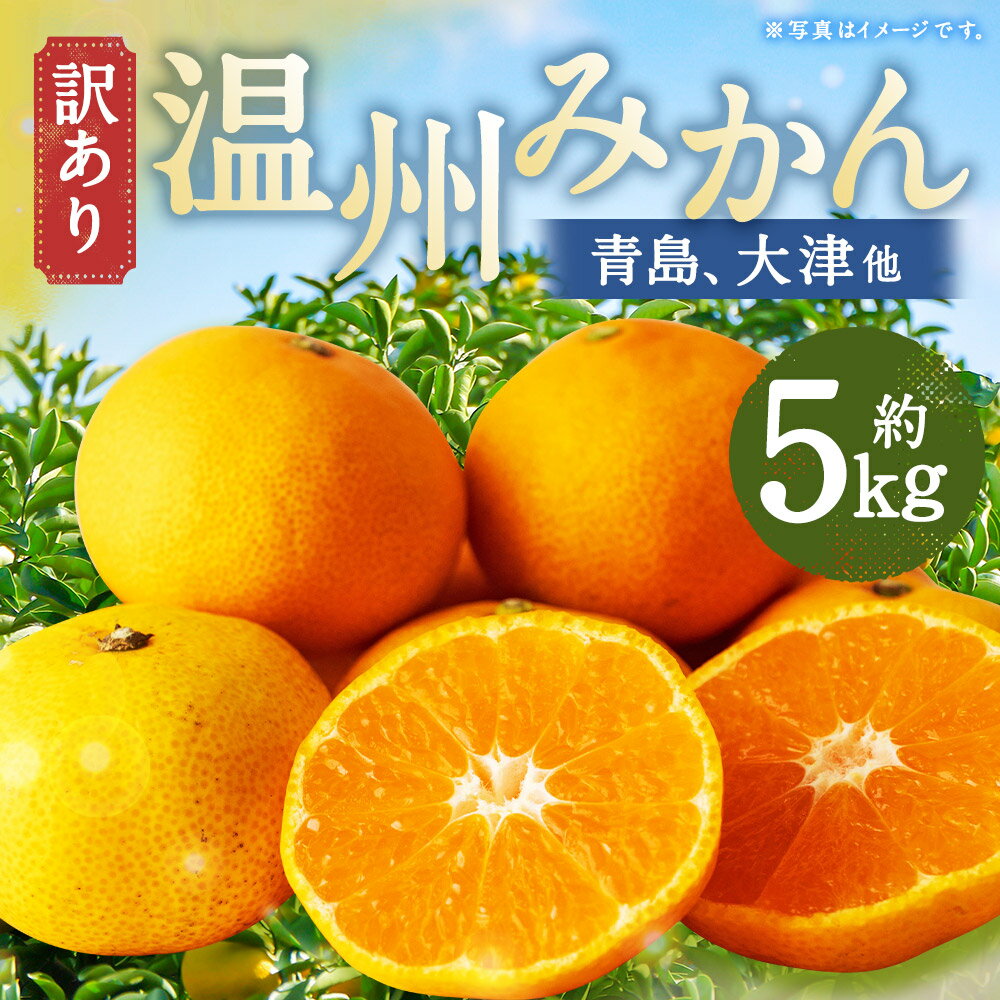 【訳あり】 長崎県時津町産 温州みかん（青島、大津他） 計約5kg 2L～3Lサイズ ミカン 蜜柑 くだもの 果物 果実 フルーツ 長崎県産 国産 九州 長崎県 時津町 送料無料 【2025年12月下旬～2026年1月下旬迄発送予定】