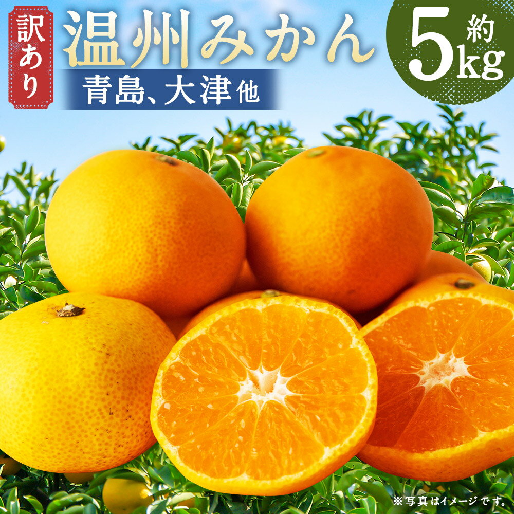 【ふるさと納税】【訳あり】 長崎県時津町産 温州みかん（青島、大津他） 計約5kg 2L～3Lサイズ ミカン 蜜柑 くだもの 果物 果実 フルーツ 長崎県産 国産 九州 長崎県 時津町 送料無料 【2025年12月下旬～2026年1月下旬迄発送予定】 サムネイル2