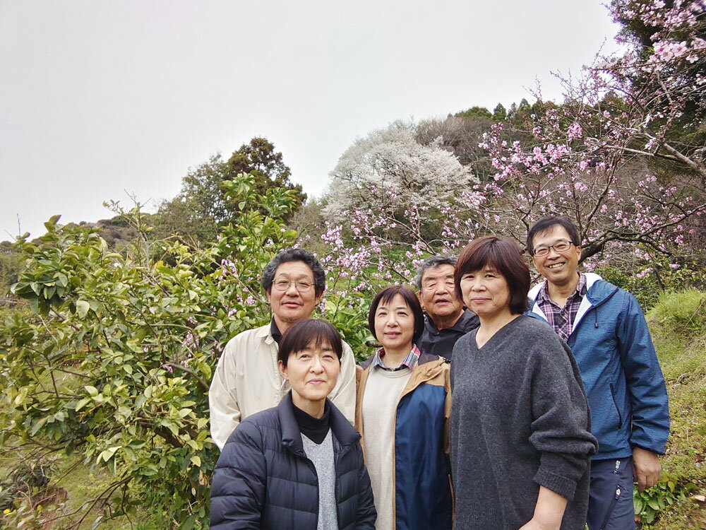 【ふるさと納税】【訳あり】 長崎県時津町産 温州みかん（青島、大津他） 計約5kg 2L～3Lサイズ ミカン 蜜柑 くだもの 果物 果実 フルーツ 長崎県産 国産 九州 長崎県 時津町 送料無料 【2025年12月下旬～2026年1月下旬迄発送予定】 サムネイル3