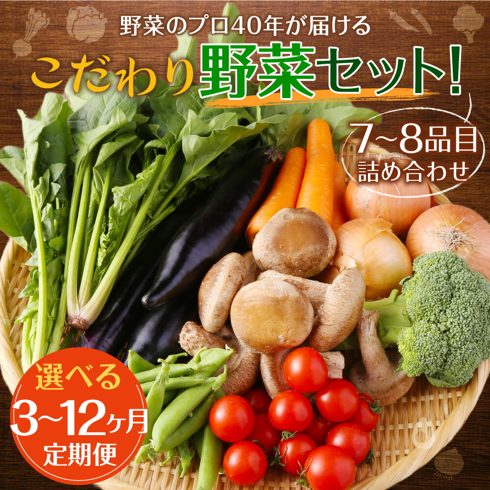 【ふるさと納税】【選べる定期便】野菜のプロ40年が届けるこだわり野菜セット 3ヶ月/6ヶ月/12ヶ月/偶数月6回/奇数月6回 1回につき7～8品目お届け 15000円 ～ 60000円 1万5000円 ～ 6万円 野菜 セット 詰め合わせ 国産 九州産 長崎県 時津町 クール便 送料無料 サムネイル2