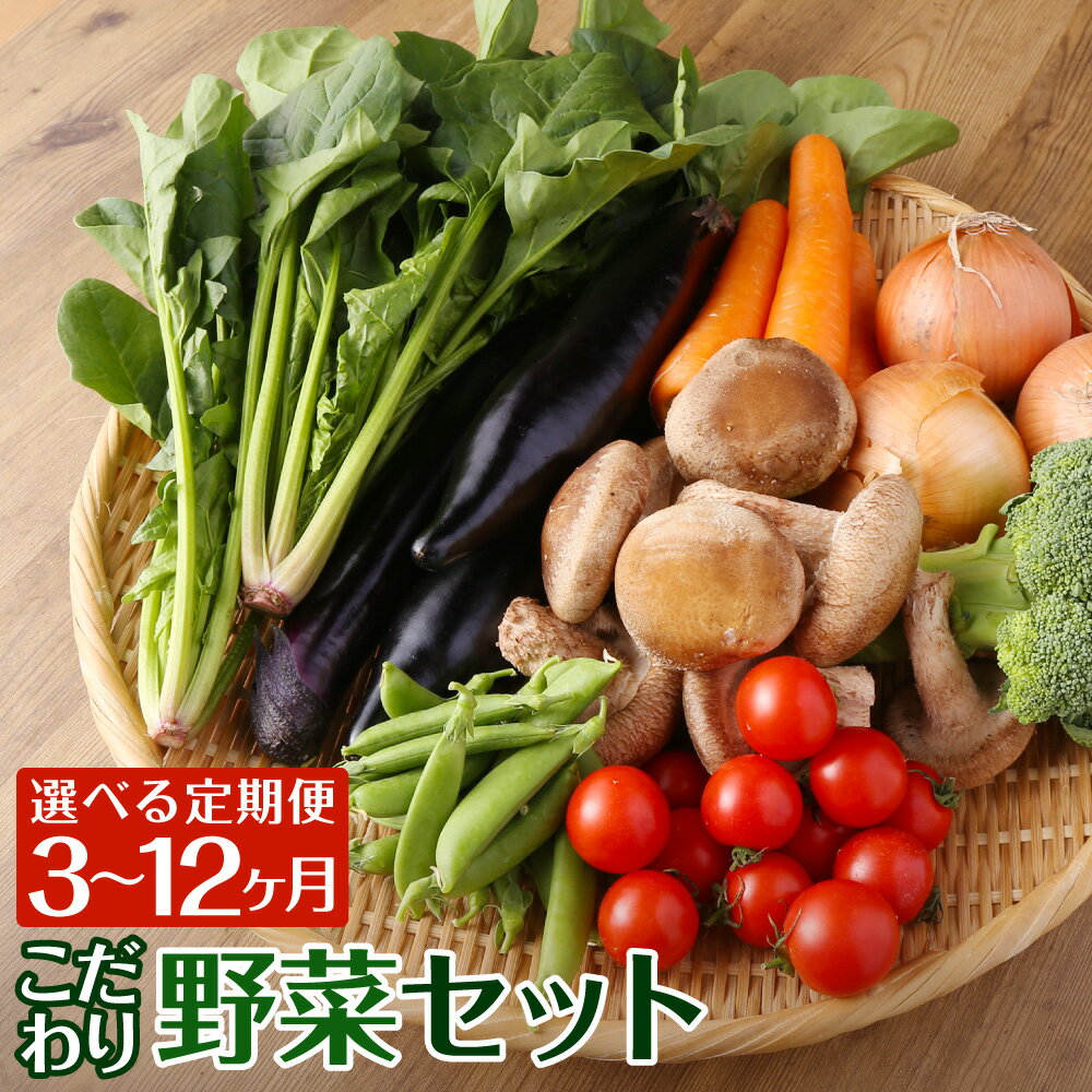 【選べる定期便】野菜のプロ40年が届けるこだわり野菜セット 3ヶ月/6ヶ月/12ヶ月/偶数月6回/奇数月6回 1回につき7～8品目お届け 15000円 ～ 60000円 1万5000円 ～ 6万円 野菜 セット 詰め合わせ 国産 九州産 長崎県 時津町 クール便 送料無料