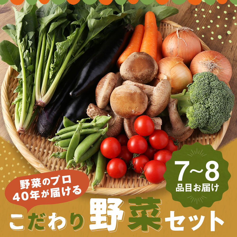 【ふるさと納税】野菜のプロ40年が届けるこだわり野菜セット！ 7～8品目 詰め合わせ 【2026年1月上旬より順次発送予定】 セット 野菜 おまかせ 新鮮 長崎県産 時津町産 九州産 国産 冷蔵 クール便 春 旬 春野菜 送料無料 サムネイル2
