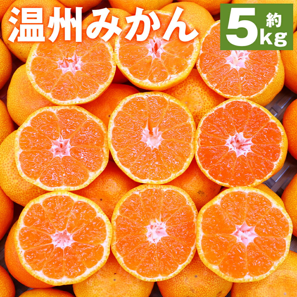 時津町産 温州みかん 約5kg Sサイズ～2Lサイズ 柑橘 蜜柑 九州産 長崎県産 果物 フルーツ 送料無料【2025年12月上旬～2026年1月下旬に順次発送予定】