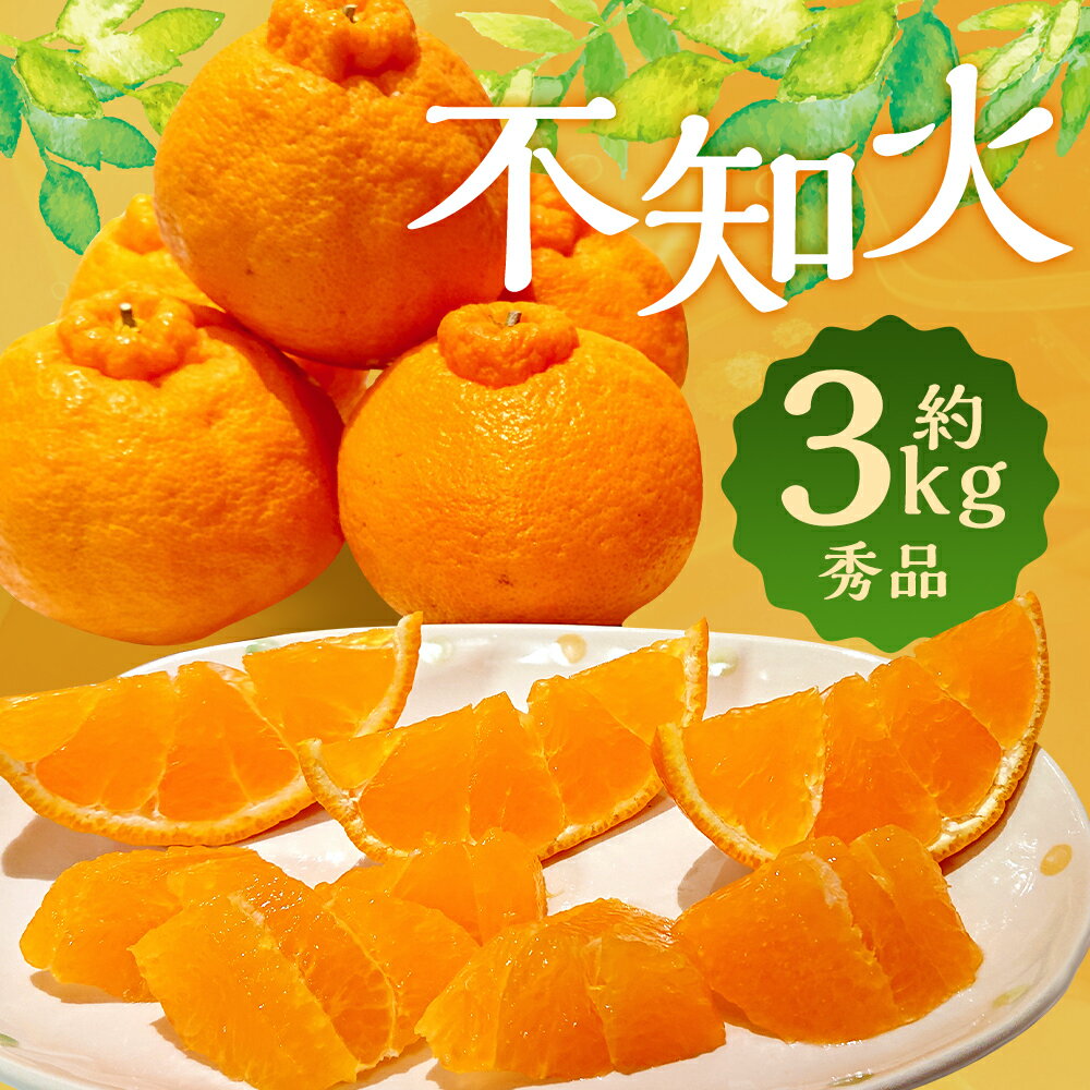 【ふるさと納税】春の柑橘 不知火 約3kg 6個～10個 秀品 柑橘 蜜柑 九州産 長崎県産 果物 フルーツ 送料無料【2026年2月下旬～3月下旬に順次発送予定】 サムネイル2