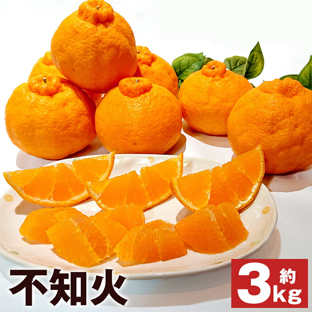 春の柑橘 不知火 約3kg 6個～10個 秀品 柑橘 蜜柑 九州産 長崎県産 果物 フルーツ 送料無料【2026年2月下旬～3月下旬に順次発送予定】