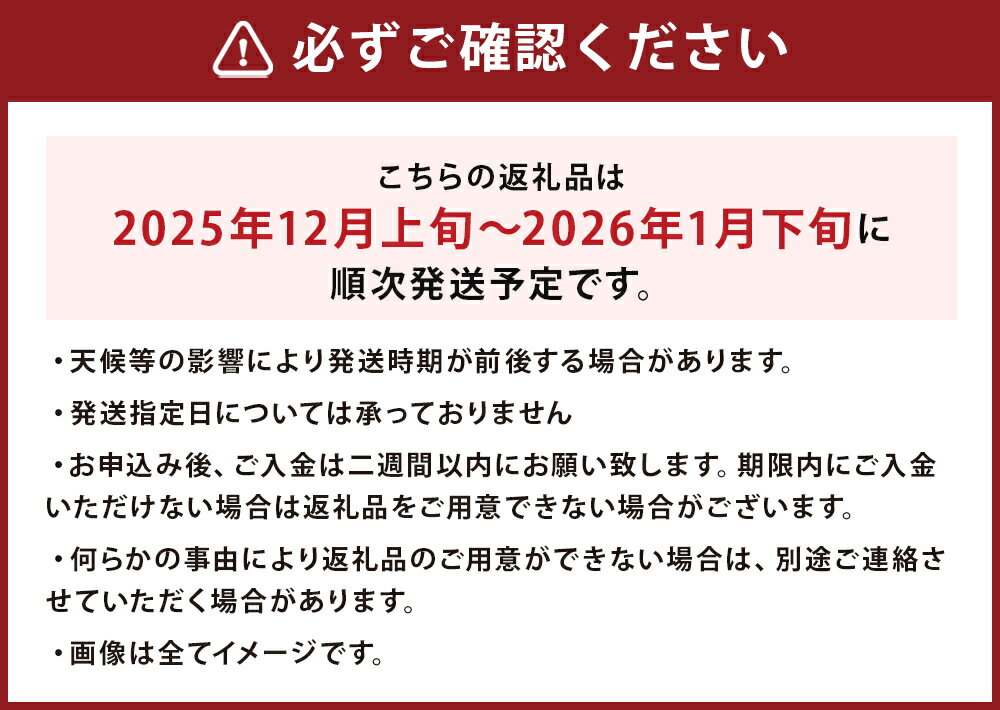 【ふるさと納税】時津町産 温州みかん 約5kg Sサイズ～2Lサイズ 柑橘 蜜柑 九州産 長崎県産 果物 フルーツ 送料無料【2025年12月上旬～2026年1月下旬に順次発送予定】 サムネイル3