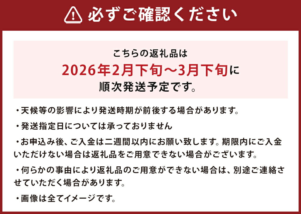 【ふるさと納税】春の柑橘 不知火 約3kg 6個～10個 秀品 柑橘 蜜柑 九州産 長崎県産 果物 フルーツ 送料無料【2026年2月下旬～3月下旬に順次発送予定】 サムネイル3