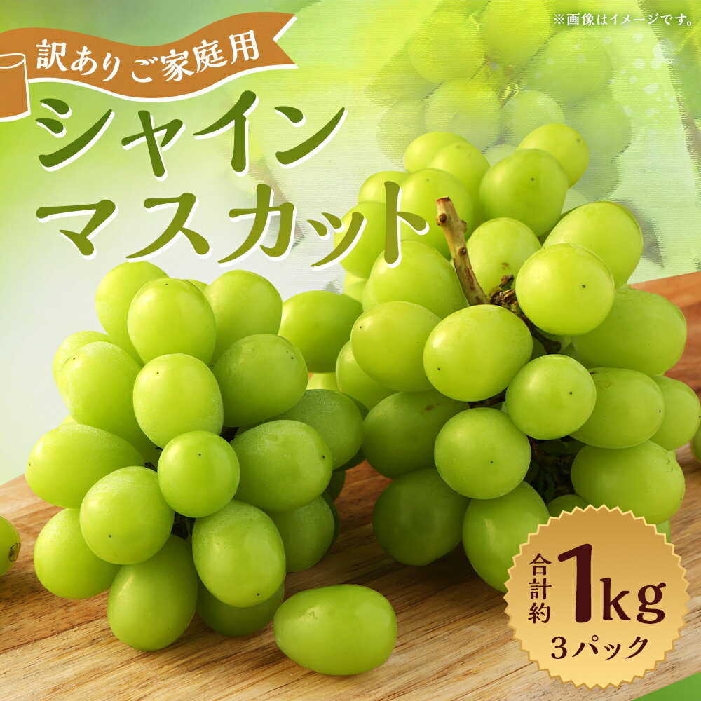 【ふるさと納税】訳あり ご家庭用 シャインマスカット 3パック 合計約1kg ぶどう 葡萄 果物 フルーツ 種無し 時津町産 長崎県産 九州産 冷蔵 送料無料【2026年8月下旬～9月下旬迄発送予定】 サムネイル2