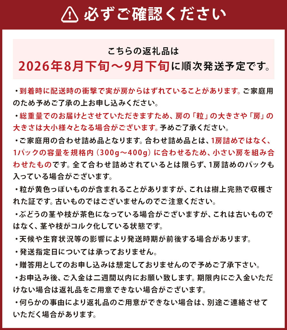 【ふるさと納税】訳あり ご家庭用 シャインマスカット 3パック 合計約1kg ぶどう 葡萄 果物 フルーツ 種無し 時津町産 長崎県産 九州産 冷蔵 送料無料【2026年8月下旬～9月下旬迄発送予定】 サムネイル3