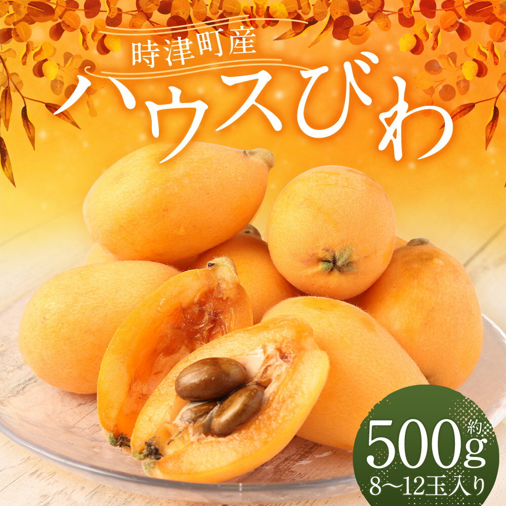 【ふるさと納税】長崎 高級ハウスびわ 約500g 8玉～12玉入り 枇杷 フルーツ 国産 長崎県産 九州産 化粧箱入り ギフト 贈り物 送料無料【2026年4月上旬～下旬迄発送予定】 サムネイル2