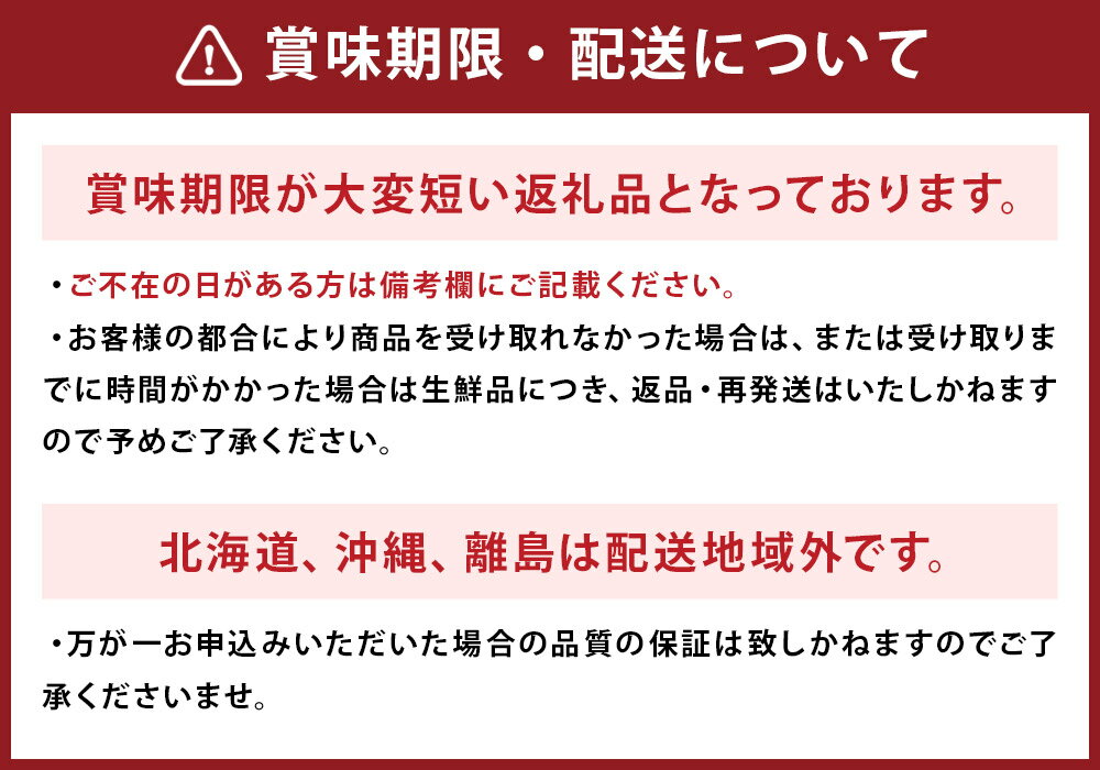 【ふるさと納税】長崎 高級ハウスびわ 約500g 8玉～12玉入り 枇杷 フルーツ 国産 長崎県産 九州産 化粧箱入り ギフト 贈り物 送料無料【2026年4月上旬～下旬迄発送予定】 サムネイル3