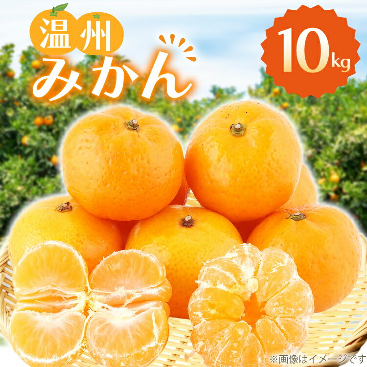 みかん 温州みかん 10kg 10キロ [彼杵の荘 長崎県 東彼杵町 hs42bag270045] ミカン 蜜柑