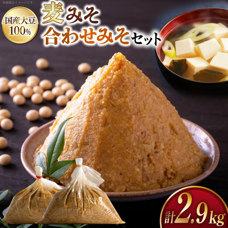 味噌 麦みそ 2kg 合わせみそ 900g [大渡商店 長崎県 東彼杵町 hs42bag590006] 減塩 手作り みそ ミソ 麦 合わせ味噌 詰め合わせ セット 調味料
