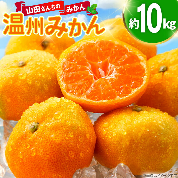 【期間限定発送】 【先行予約100個限定】みかん 温州みかん 10kg [長崎県 東彼杵町 hs42bag330003] 果物 くだもの フルーツ ミカン 柑橘 国産 長崎産 東彼杵 数量限定 期間限定