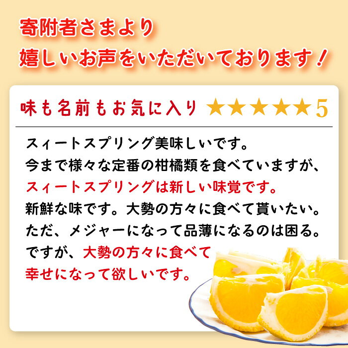 【ふるさと納税】【数量限定希少種柑橘！】スィートスプリング 約9kg【長崎ぶんたんの会】[OAF007] / みかん ミカン 蜜柑 フルーツ 果物 甘い 数量限定 柑橘 デザート すいーとすぷりんぐ スイートスプリング 珍しい おいしい かんきつ くだもの さっぱり サラダ 爽やか サムネイル2