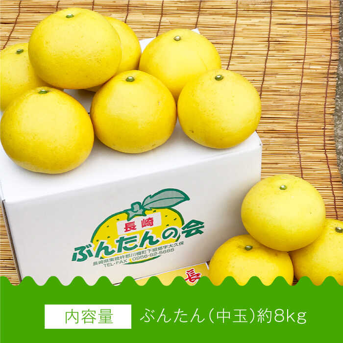 【ふるさと納税】【先行予約】ぶんたん 中玉 約8kg【長崎ぶんたんの会】[OAF002] / 文旦 ブンタン 贈り物 ギフト フルーツ 果物 甘い くだもの 長崎県産 柑橘 デザート みかん かんきつ さっぱり 爽やか ジューシー サラダ 産地直送 お取り寄せ グルメ 家庭用 贈答 数量限定 サムネイル2