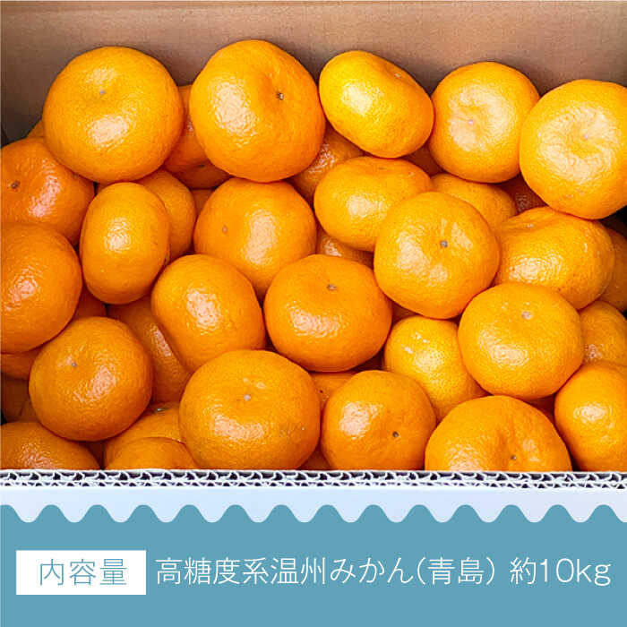【ふるさと納税】【先行受付】温州みかん (青島) 約10kg【長崎ぶんたんの会】[OAF006] / ミカン 蜜柑 フルーツ 果物 甘い 数量限定 長崎県産 柑橘 デザート 高糖度 さっぱり くだもの 産地直送 冬みかん 家庭用 ジューシー 九州産 美味しい かんきつ 人気 オレンジ デザート サムネイル2