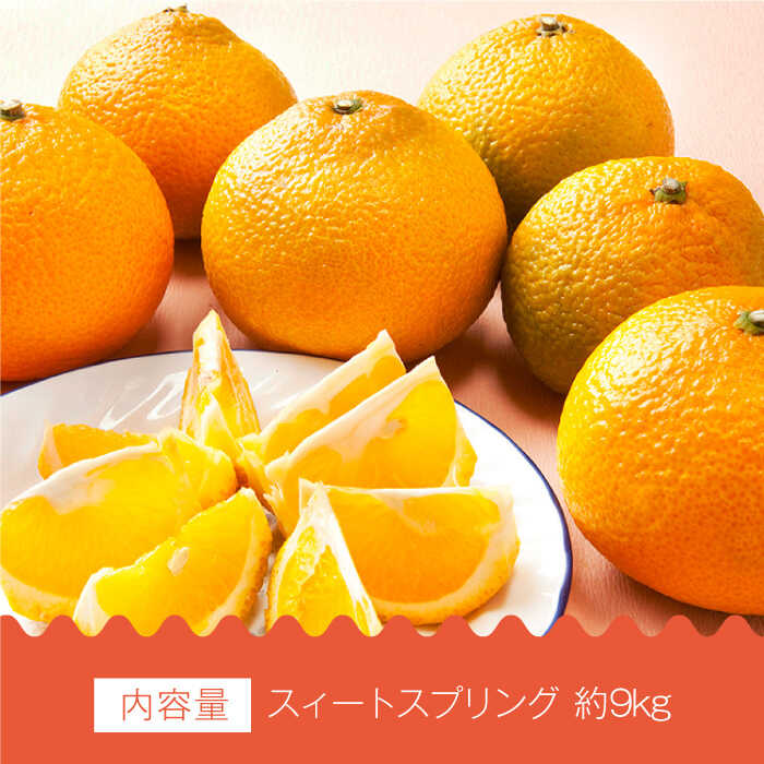 【ふるさと納税】【数量限定希少種柑橘！】スィートスプリング 約9kg【長崎ぶんたんの会】[OAF007] / みかん ミカン 蜜柑 フルーツ 果物 甘い 数量限定 柑橘 デザート すいーとすぷりんぐ スイートスプリング 珍しい おいしい かんきつ くだもの さっぱり サラダ 爽やか サムネイル3