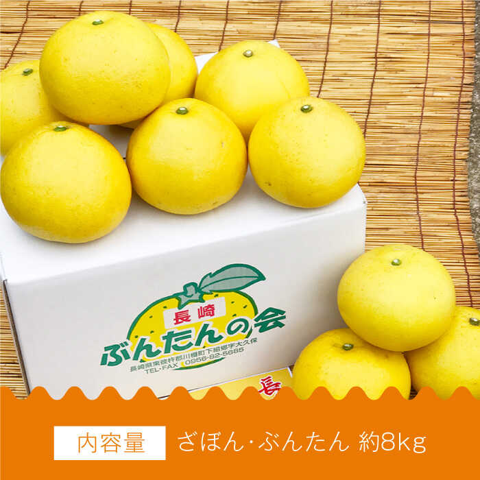 【ふるさと納税】【数量限定】長崎ざぼん・ぶんたん セット 約8kg【長崎ぶんたんの会 】[OAF008] / ザボン 朱欒 ブンタン フルーツ 果物 甘い 数量限定 長崎県産 柑橘 デザート サムネイル3
