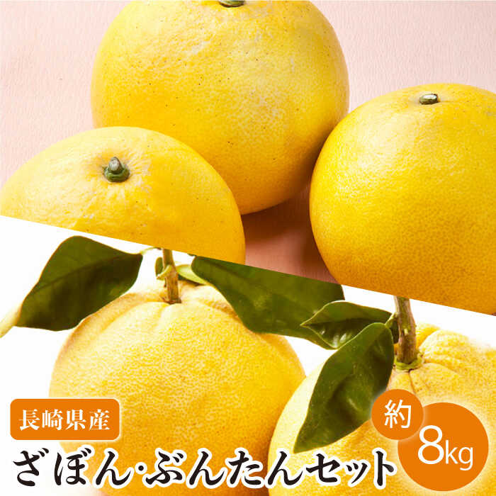 【数量限定】長崎ざぼん・ぶんたん セット 約8kg【長崎ぶんたんの会 】[OAF008] / ザボン 朱欒 ブンタン フルーツ 果物 甘い 数量限定 長崎県産 柑橘 デザート