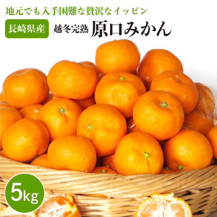 「越冬完熟 原口 みかん」 5kg 完熟ミカン / 完熟ミカン ミカン 蜜柑 フルーツ 果物 甘い 数量限定 長崎県産 柑橘 贈答 ギフト こたつ 【長崎ぶんたんの会】 [OAF010]
