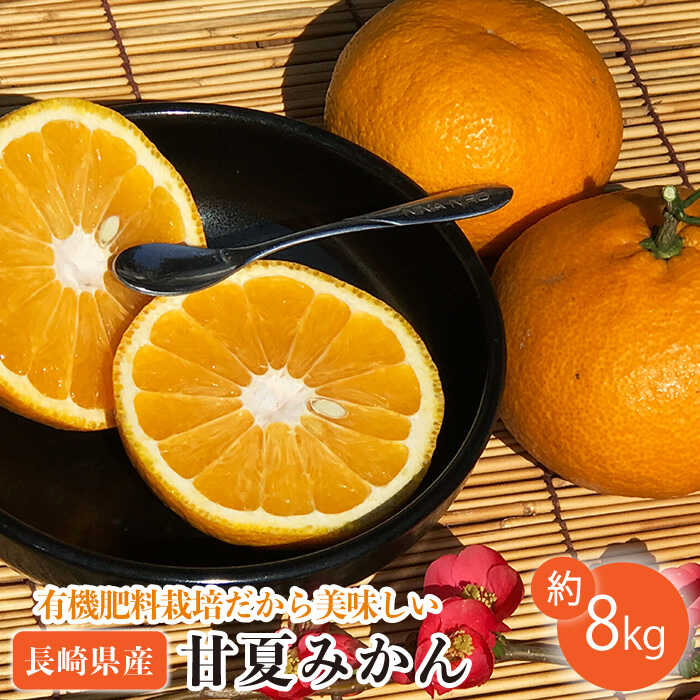 【先行予約】数量限定 甘夏みかん 有機肥料栽培 8kg【おだ農園】[OAG001] / ミカン 蜜柑 フルーツ 果物 甘い 長崎県産 柑橘 デザート