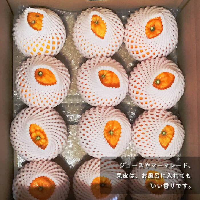 【ふるさと納税】【数量限定】不知火(しらぬい) 袋掛け 3kg【おだ農園】[OAG004] / しらぬい オレンジ ミカン 蜜柑 フルーツ 果物 甘い 数量限定 長崎県産 柑橘 デザート サムネイル3