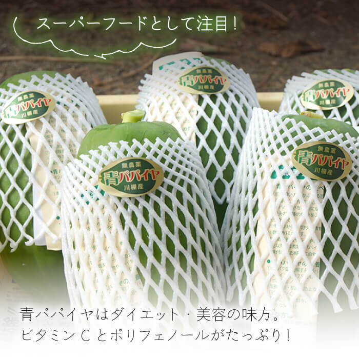 【ふるさと納税】川棚町産 青パパイヤ 約6kg 青パパイヤの奈良漬3個付き【あい農園】[OBM003] / ソムタム スーパーフード 豊富 な 酵素 栄養素 ダイエット 美容 低カロリー 漬物 ビタミンC 川棚町産 野菜 エスニック料理 タイ料理 グリーンパパイヤ 国産 長崎産 サムネイル2