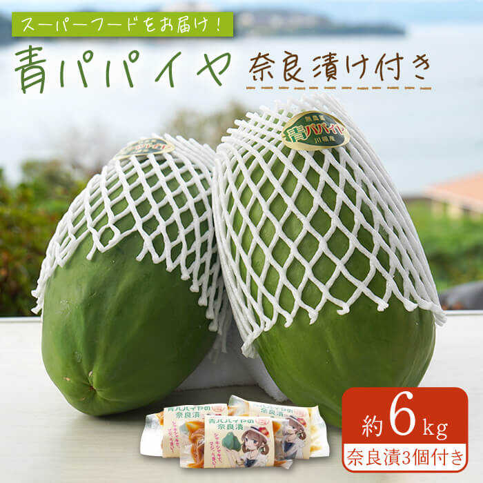 川棚町産 青パパイヤ 約6kg 青パパイヤの奈良漬3個付き【あい農園】[OBM003] / ソムタム スーパーフード 豊富 な 酵素 栄養素 ダイエット 美容 低カロリー 漬物 ビタミンC 川棚町産 野菜 エスニック料理 タイ料理 グリーンパパイヤ 国産 長崎産