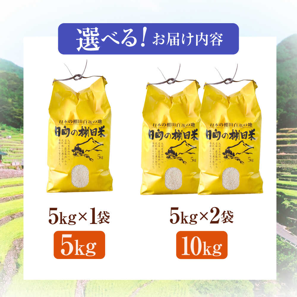 【ふるさと納税】＜容量選べる＞【数量限定】【令和7年産】棚田 米 『ひなた米』 5kg・10kg 【木場中山間管理組合】[OCM041] なつほのか ヒノヒカリ 白米 米 お米 こめ 長崎 川棚 kome gohann hakumai - 画像2