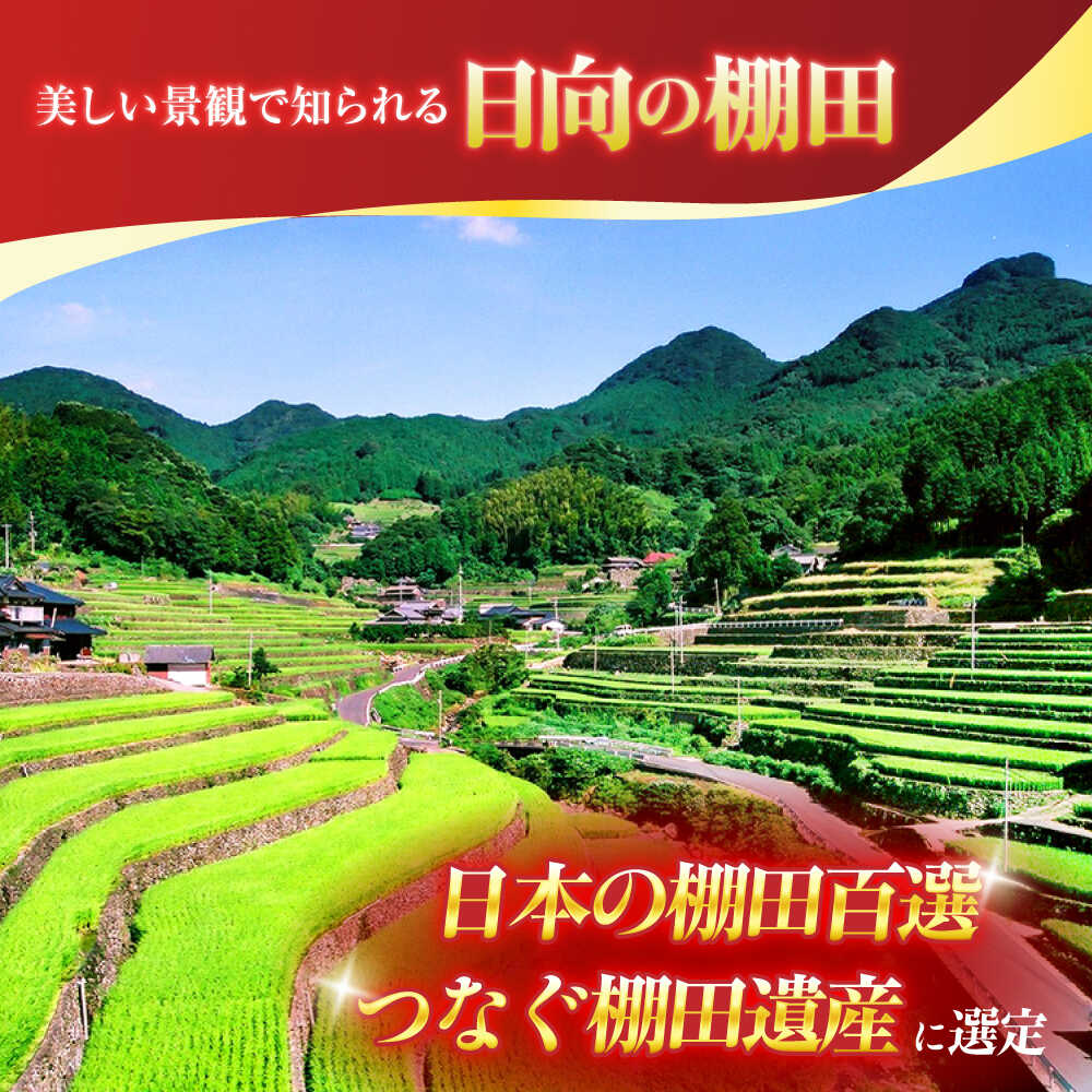 【ふるさと納税】＜容量選べる＞【数量限定】【令和7年産】棚田 米 『ひなた米』 5kg・10kg 【木場中山間管理組合】[OCM041] なつほのか ヒノヒカリ 白米 米 お米 こめ 長崎 川棚 kome gohann hakumai - 画像3
