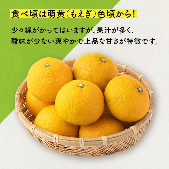 【ふるさと納税】【先行予約】爽やかな甘い香り スイートスプリング 長崎県産 約10kg【田崎FARM】[OCU001] / 12月中旬以降 順次発送！爽やか 上品な香り 柑橘 お取り寄せ 国産 みかん 柑橘 長崎 希少 萌黄色 かんきつ 果物 フルーツ くだもの 希少 珍しい さっぱり みかん サムネイル2