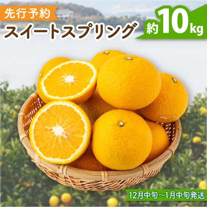 【先行予約】爽やかな甘い香り スイートスプリング 長崎県産 約10kg【田崎FARM】[OCU001] / 12月中旬以降 順次発送！爽やか 上品な香り 柑橘 お取り寄せ 国産 みかん 柑橘 長崎 希少 萌黄色 かんきつ 果物 フルーツ くだもの 希少 珍しい さっぱり みかん