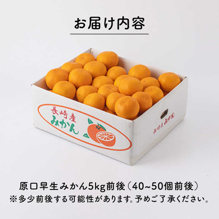 【ふるさと納税】【先行予約】濃厚な食味 みかん 原口 早生 長崎県産 約5kg (40~50個前後)【田崎FARM】 [OCU003] / 甘味 高糖度 柑橘 蜜柑 国産みかん 冬みかん フルーツ デザート こたつ ミカン ジャム 果物 ギフト お中元 お歳暮 正月 団らん 家庭用 贈り物 おすそわけ サムネイル3