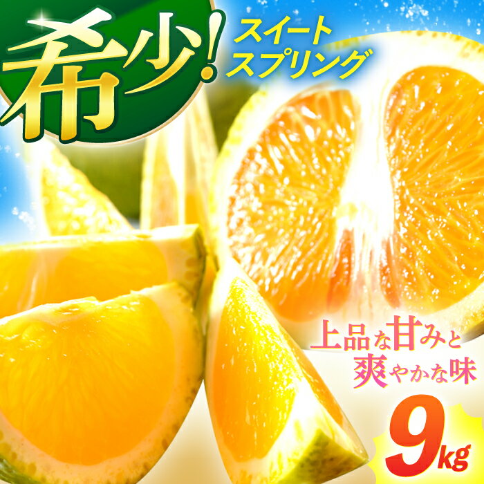 【数量限定希少種柑橘！】スィートスプリング 約9kg【長崎ぶんたんの会】[OAF007] / みかん ミカン 蜜柑 フルーツ 果物 甘い 数量限定 柑橘 デザート すいーとすぷりんぐ スイートスプリング 珍しい おいしい かんきつ くだもの さっぱり サラダ 爽やか